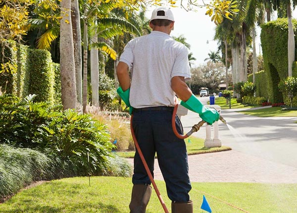 About Edgar MT Pest Control